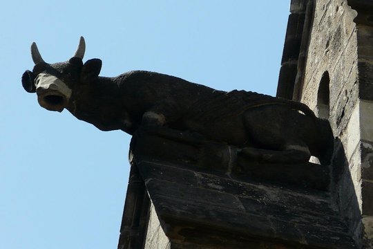 Tour image 12
