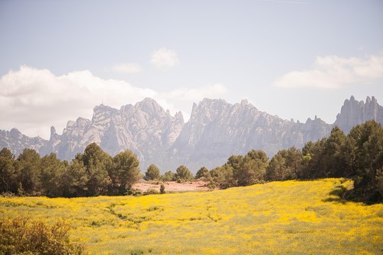 Tour image 9