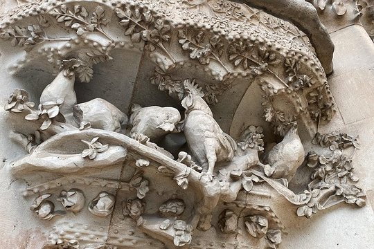 Tour image 12