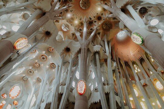 Tour image 7