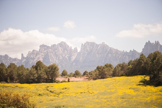 Tour image 13