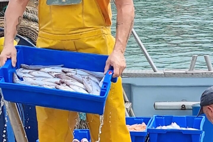 Guided visit to the Fishermen's Guild with Tasting